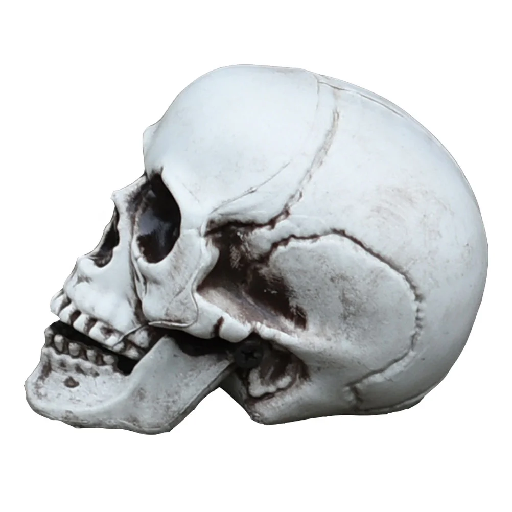 Realistic Human Skull Model Plastic Halloween Decor Skull nament Bar Prop Mini Figurines Fake Decorative Accessory
Realistic Human Skull Model Plastic Halloween Decor Skull nament Bar Prop Mini Figurines Fake Decorative Accessory