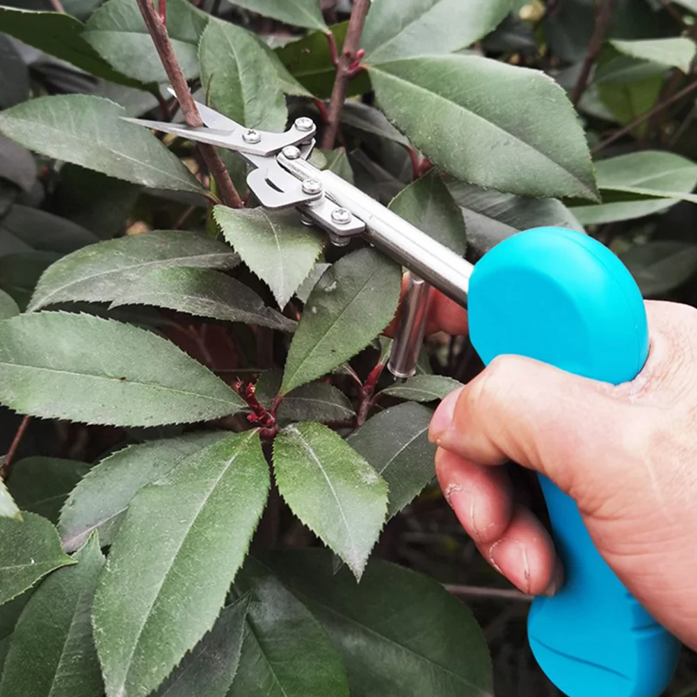Garden Trimming Tool Blue TPR H Pruning Plants Fruit Scissors Durable Stainless Steel Shears Ergonomic Non Slip Gardening
Garden Trimming Tool Blue TPR H Pruning Plants Fruit Scissors Durable Stainless Steel Shears Ergonomic Non Slip Gardening