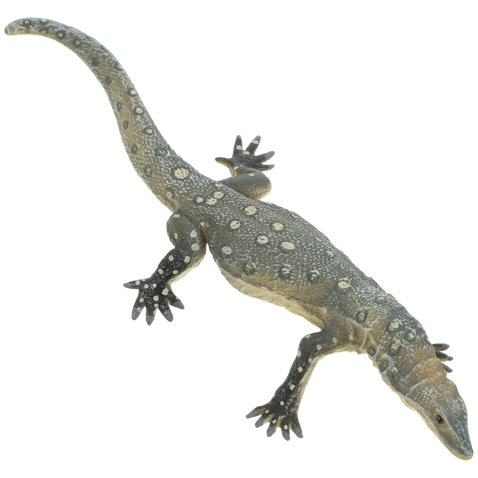 Realistic Simulation Lizard Lifesize Decorative Artificial Animal Educational Lizard Ornament for Party Decor
Realistic Simulation Lizard Lifesize Decorative Artificial Animal Educational Lizard Ornament for Party Decor