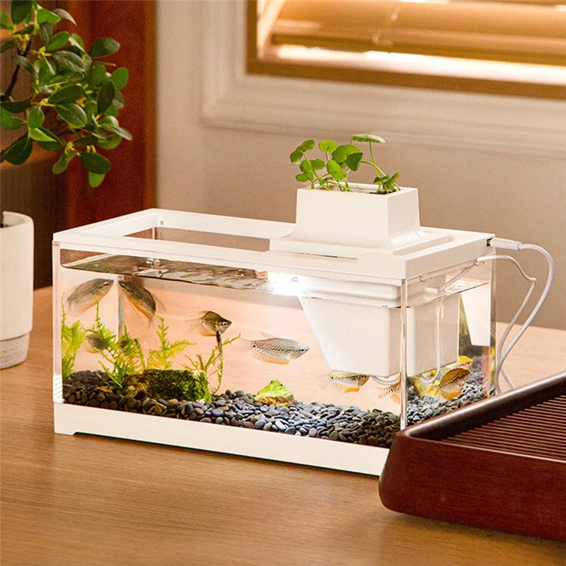 【Best Selling】Tiny Fish Tank-Betta Aquarium With Inner Light Mini Landscape Desktop Home Ornaments For Small Spaces Decoration
【Best Selling】Tiny Fish Tank-Betta Aquarium With Inner Light Mini Landscape Desktop Home Ornaments For Small Spaces Decoration