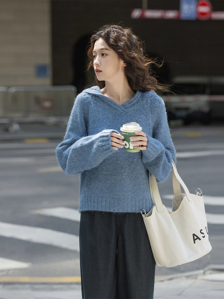Blue Thiened Knitted Sweater with Hat ort Sle Women's Spring Autumn Loose Sweater Commute Sle Pure Color Korean Sle
Blue Thiened Knitted Sweater with Hat ort Sle Women's Spring Autumn Loose Sweater Commute Sle Pure Color Korean Sle