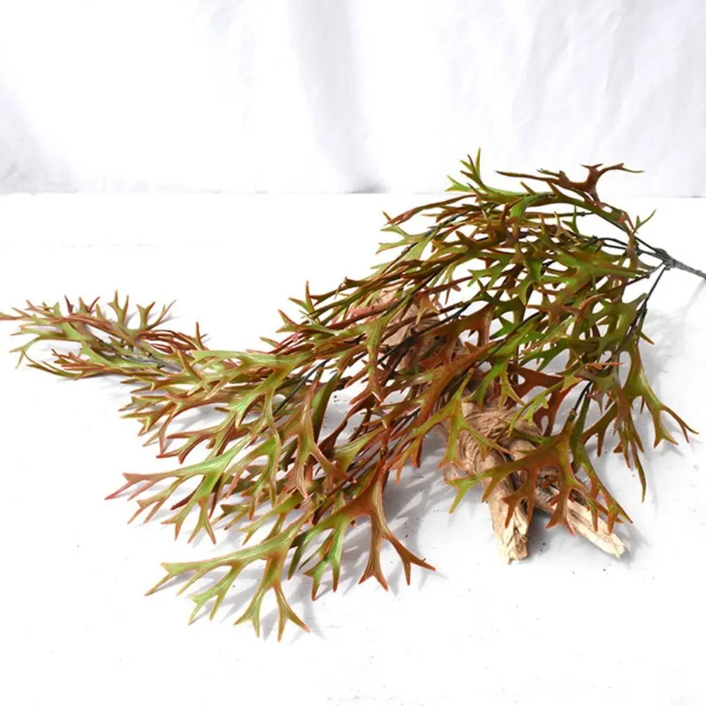 80cm Artificial Staghorn Fern Ferns Plants Plastic Artificial Antlers Leaf Realistic Wall Hanging Fake Plants Office Hotel Decor
80cm Artificial Staghorn Fern Ferns Plants Plastic Artificial Antlers Leaf Realistic Wall Hanging Fake Plants Office Hotel Decor