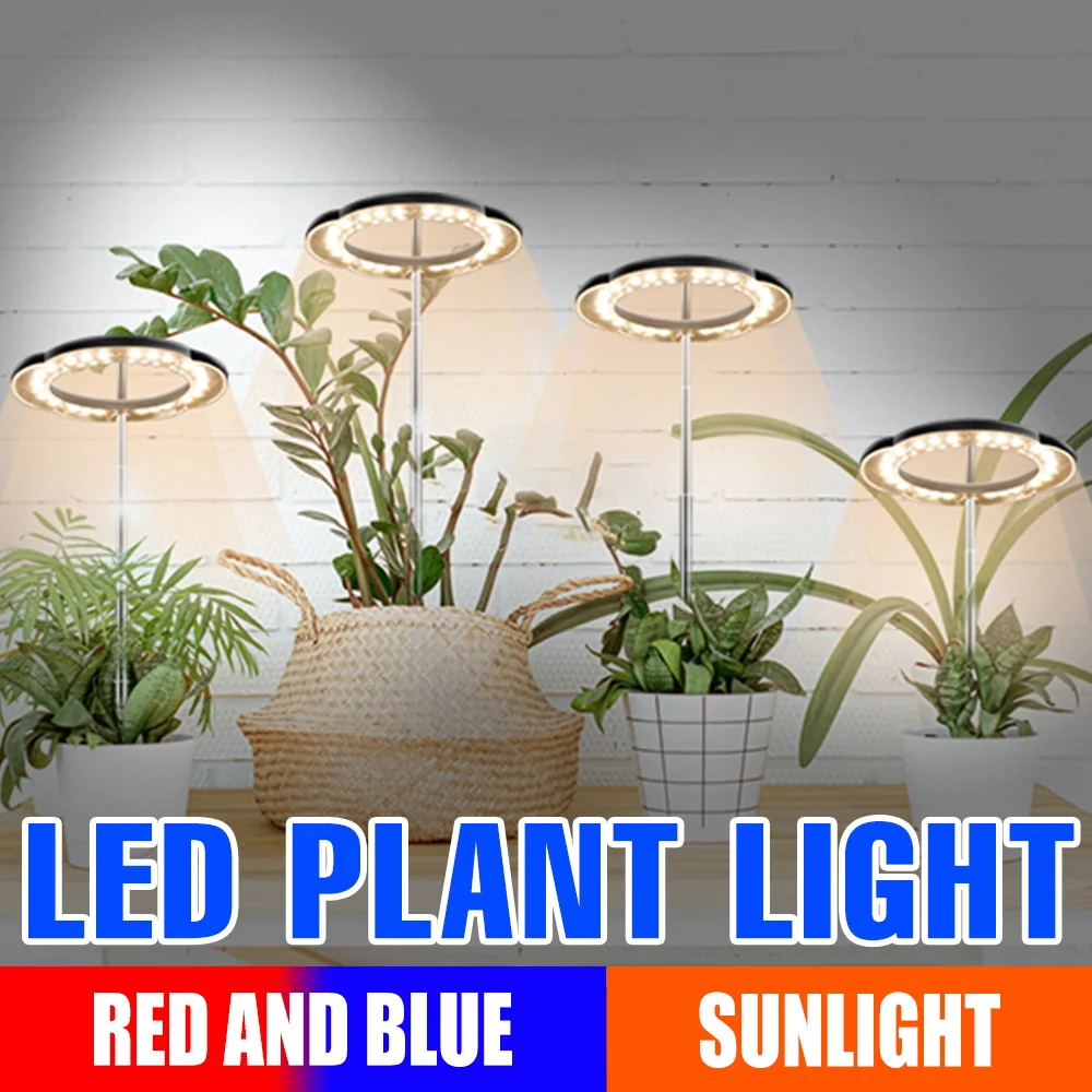 LED Plant Grow Light Full Spectrum Seedings Fill Lamp 5V Sunlight Indoor Hydroponic Succulent Vegs Potting Cultivation Lighing
LED Plant Grow Light Full Spectrum Seedings Fill Lamp 5V Sunlight Indoor Hydroponic Succulent Vegs Potting Cultivation Lighing