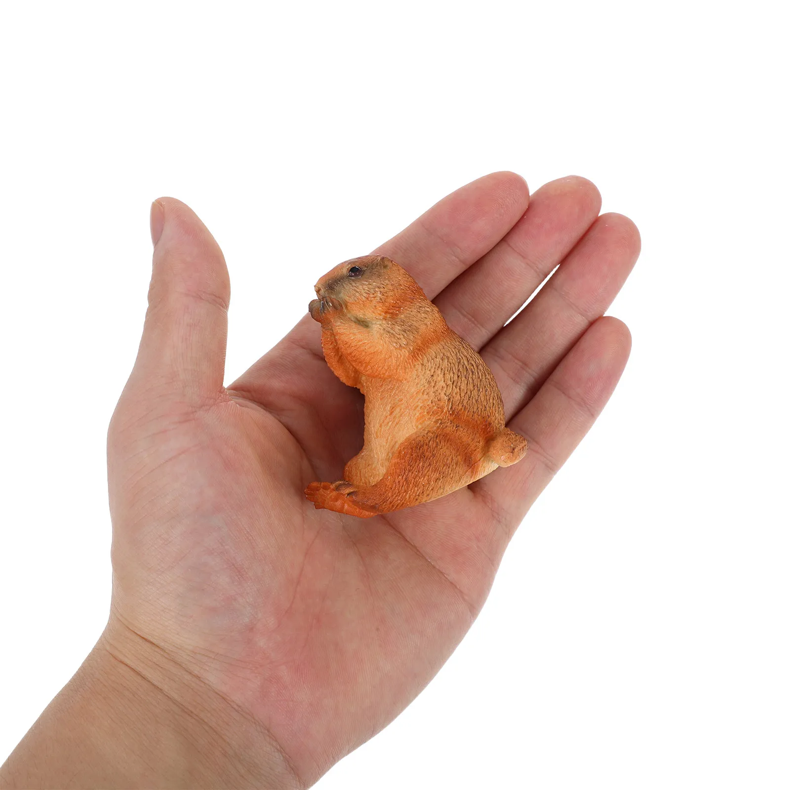 Realistic Groundhog Simulation Wild Animal Cognitive Learning Decoration for Kids Room Home School Kindergarten Educational
Realistic Groundhog Simulation Wild Animal Cognitive Learning Decoration for Kids Room Home School Kindergarten Educational