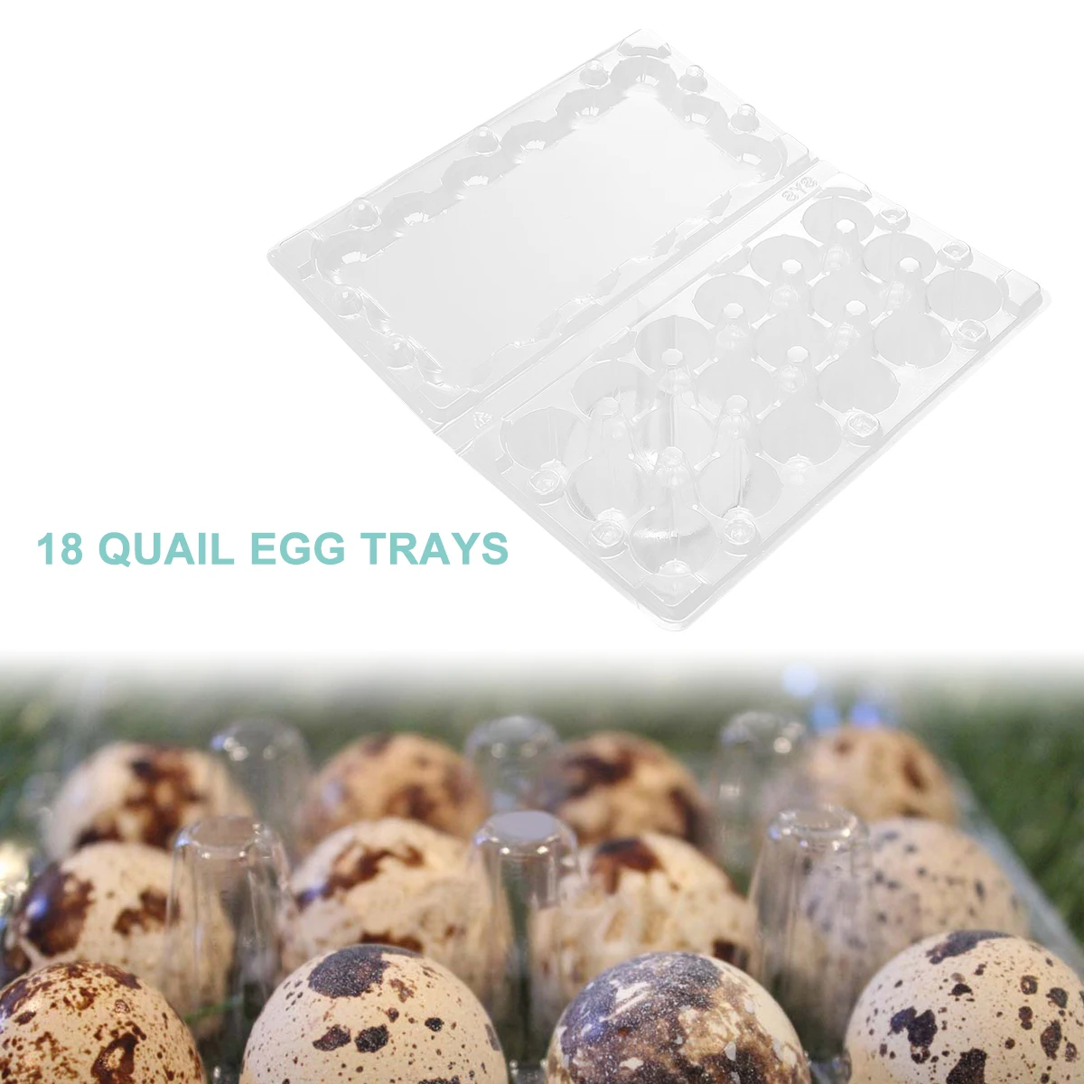50pcs Quail Egg Storage Box Transparent PVC Material 18 Grids Each Durable Practical Large Capacity Carrier Easy Use
50pcs Quail Egg Storage Box Transparent PVC Material 18 Grids Each Durable Practical Large Capacity Carrier Easy Use