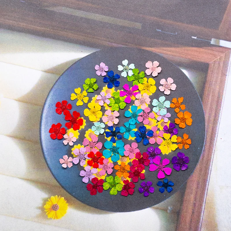 96Pcs Mini 1.5cm Natural Pressed Flowers Colorful Vibrant Pearl Flowers Dried Flowers Pressed Flowers for Nail Art Photography Dried Flowers for Makeup Handmade DIY Resin Accessories Photo Frame Specimens Crafts Decora
96Pcs Mini 1.5cm Natural Pressed Flowers Colorful Vibrant Pearl Flowers Dried Flowers Pressed Flowers for Nail Art Photography Dried Flowers for Makeup Handmade DIY Resin Accessories Photo Frame Specimens Crafts Decora