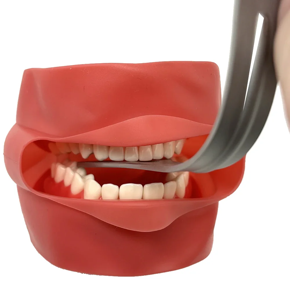 Dental Lingual Isolation Retractor Stainless Steel Mouth Retractor Dental Retractors Mouth Gag Oral Mouth Opener Dental Products
Dental Lingual Isolation Retractor Stainless Steel Mouth Retractor Dental Retractors Mouth Gag Oral Mouth Opener Dental Products