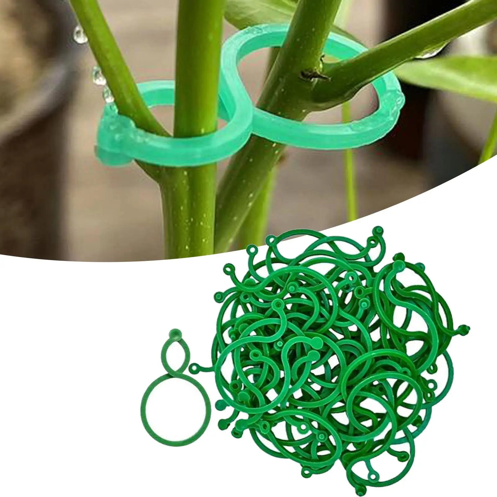 500Pcs Plant Clips Garden Fixing Support Clips for Outdoor Backyard Vegetable Vine Tomato Plant Training Tools
500Pcs Plant Clips Garden Fixing Support Clips for Outdoor Backyard Vegetable Vine Tomato Plant Training Tools