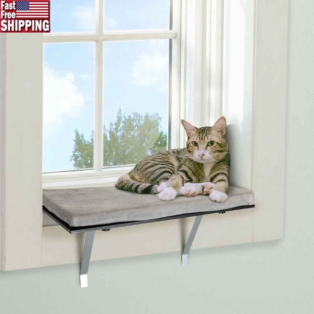 Windowsill Cat Perch Frame with Comfy Velvet Cushion Sturdy MDF Board Soft Sponge Resting Place Cats
Windowsill Cat Perch Frame with Comfy Velvet Cushion Sturdy MDF Board Soft Sponge Resting Place Cats