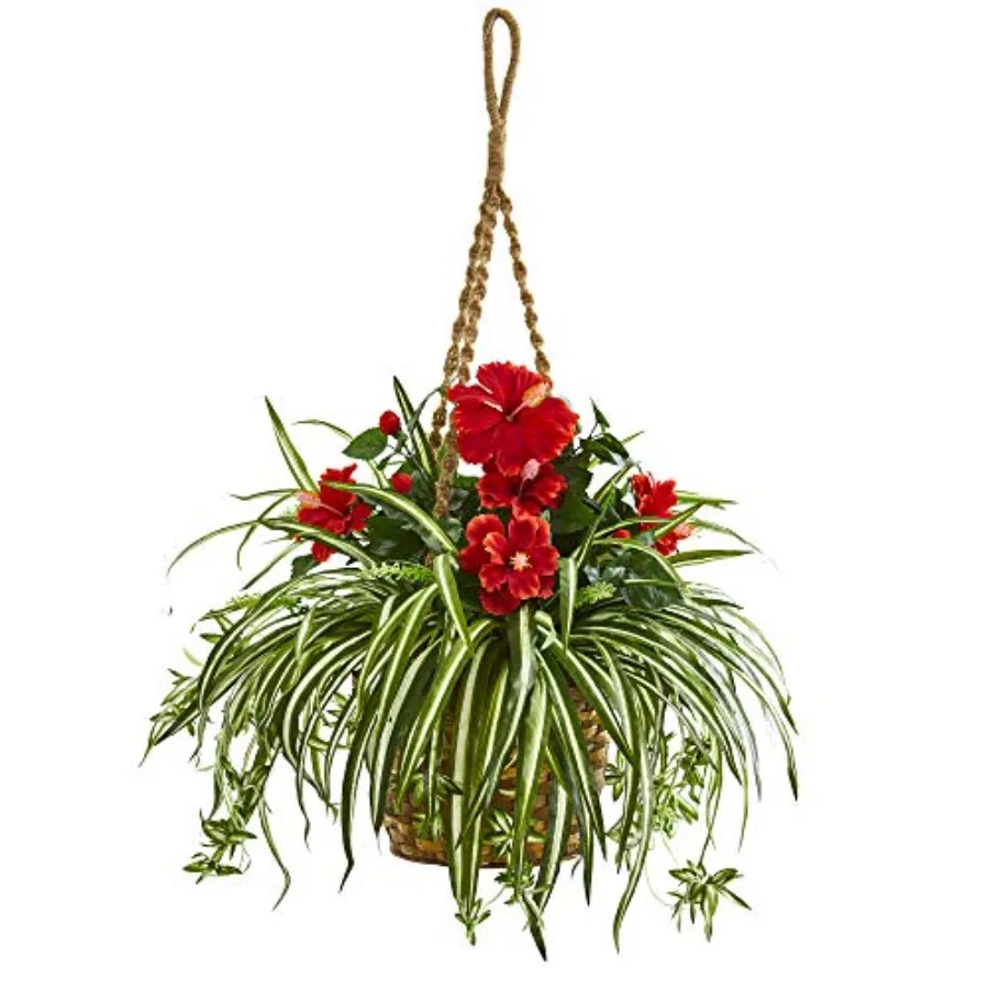 Hanging basket artificial plant for indoor decoration, polyester material, natural green color, realistic hibiscus and spider d
Hanging basket artificial plant for indoor decoration, polyester material, natural green color, realistic hibiscus and spider d