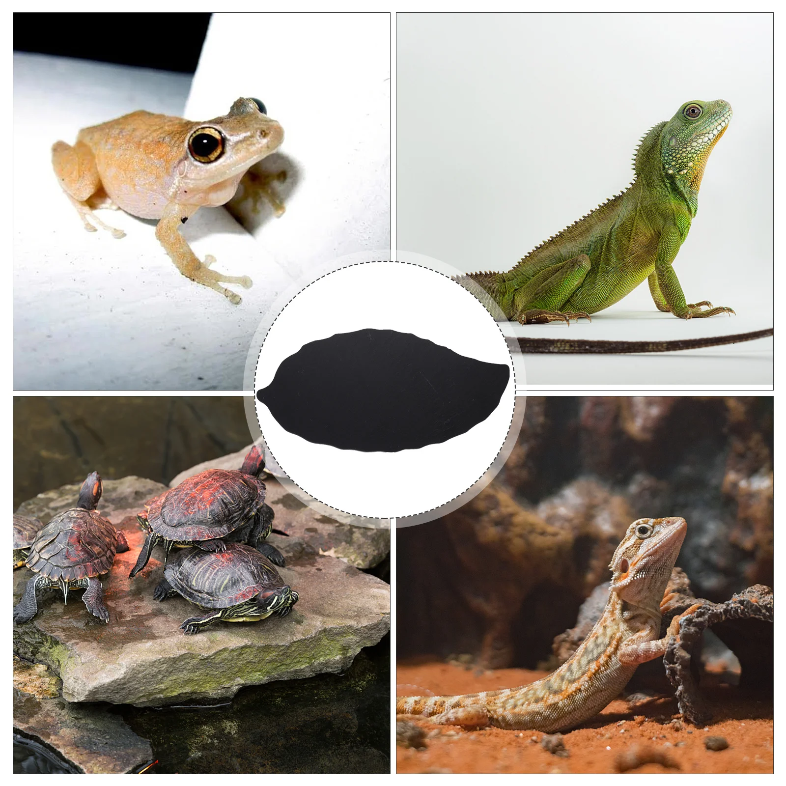 Tank Turtle Board Wear-Resistant Stone Basking Platform Rest Stand Decorative Aquarium Rock Turtle Accessory Basking Rock 
Tank Turtle Board Wear-Resistant Stone Basking Platform Rest Stand Decorative Aquarium Rock Turtle Accessory Basking Rock