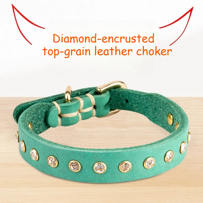 Small dog leather dog collar with diamond studded rivets pet collar leather cat collar soft cowhide teddy bear
Small dog leather dog collar with diamond studded rivets pet collar leather cat collar soft cowhide teddy bear
