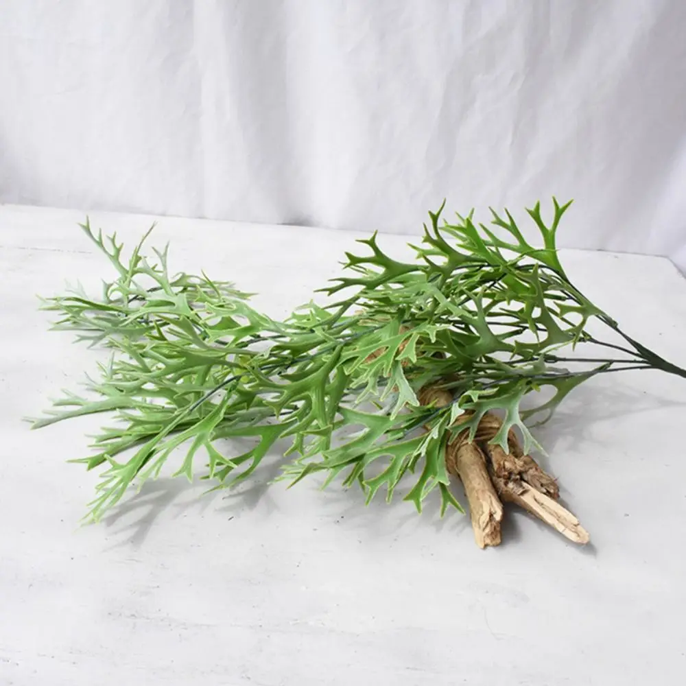 80cm Artificial Staghorn Fern Wall Hanging Ferns Plants Artificial Antlers Leaf Plastic Realistic Fake Plants
80cm Artificial Staghorn Fern Wall Hanging Ferns Plants Artificial Antlers Leaf Plastic Realistic Fake Plants