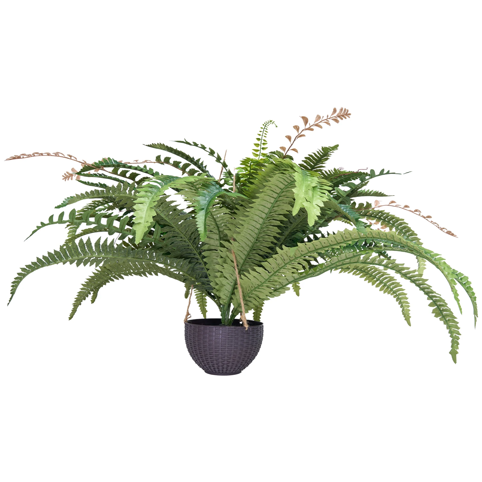 SucceBuy Artificial Ferns Natural Spread Diameter 37-41In Large Hanging Fake Boston Fern with 80 Branches and Flowerpot for Home
SucceBuy Artificial Ferns Natural Spread Diameter 37-41In Large Hanging Fake Boston Fern with 80 Branches and Flowerpot for Home