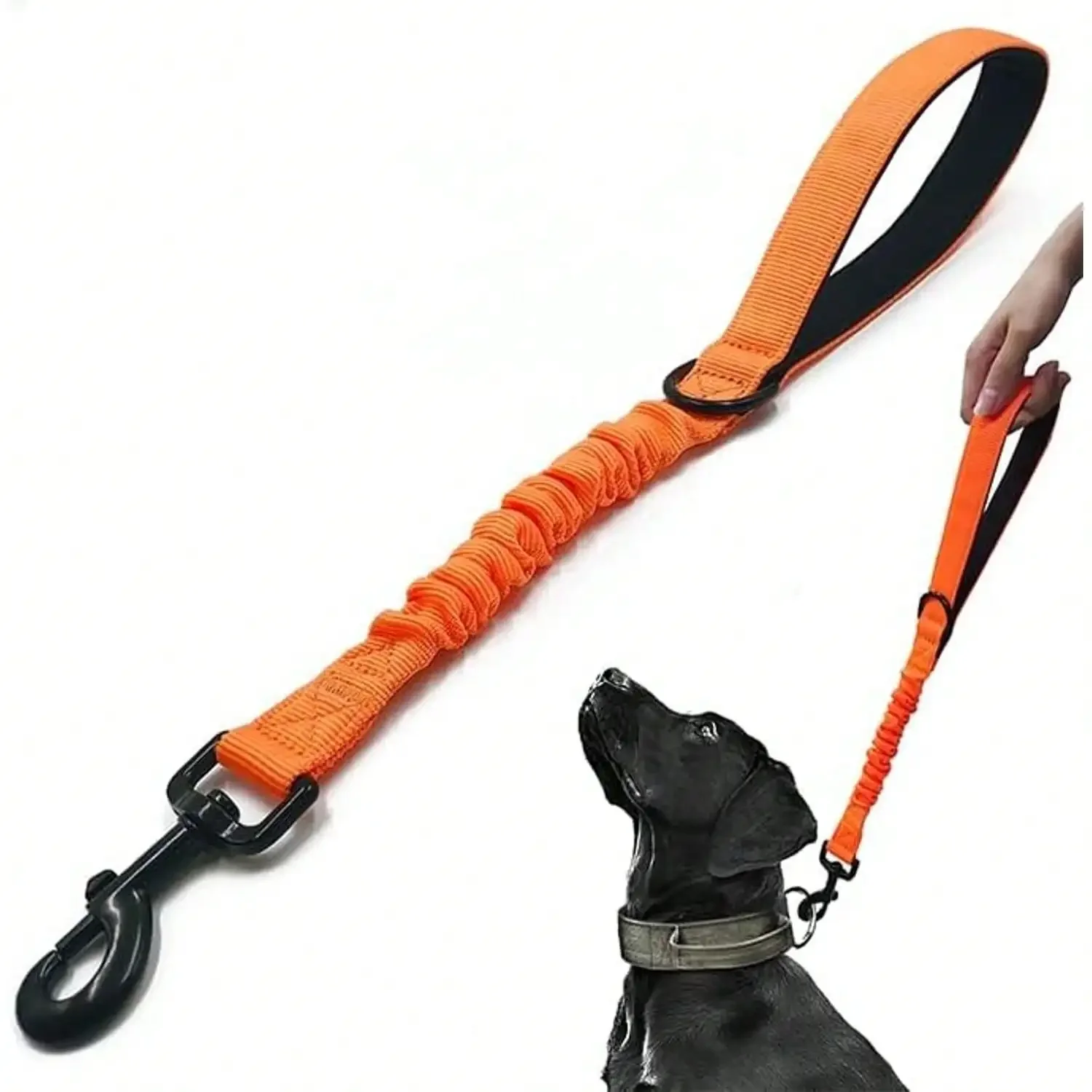 Short Dog Training Control Leash 18 Inch 1 Inch Wide Heavy Duty Elastic Traffic Bungee Leash With Padded Handle Suitable For Medium And Large Dogs
Short Dog Training Control Leash 18 Inch 1 Inch Wide Heavy Duty Elastic Traffic Bungee Leash With Padded Handle Suitable For Medium And Large Dogs