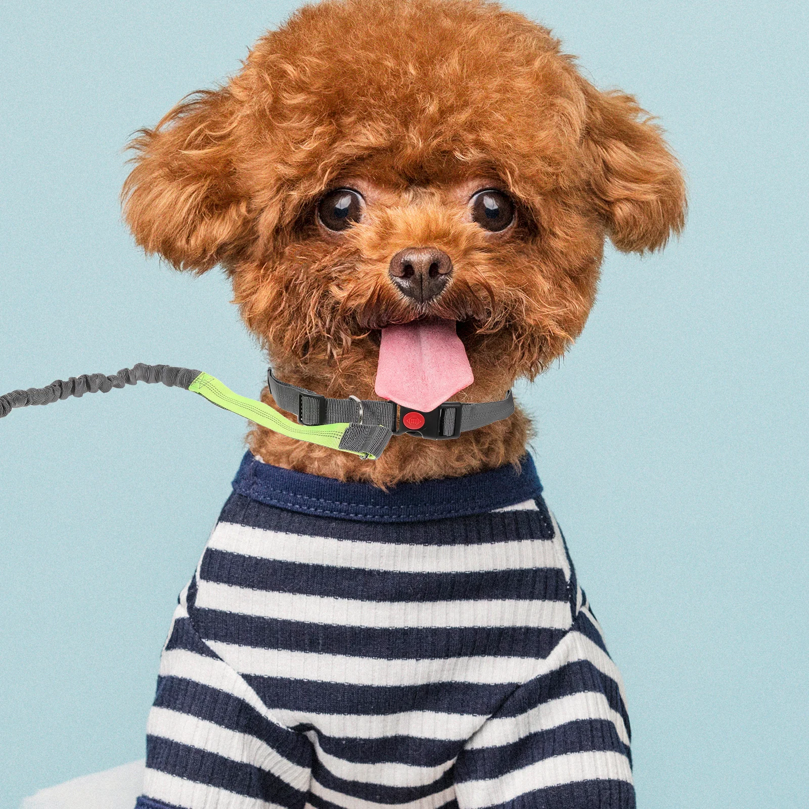 Pet Running Leash Adjustable Dog Walking Leash Reflective Stitching Hands Free Multi Functional Outdoor Activities Small Medium
Pet Running Leash Adjustable Dog Walking Leash Reflective Stitching Hands Free Multi Functional Outdoor Activities Small Medium