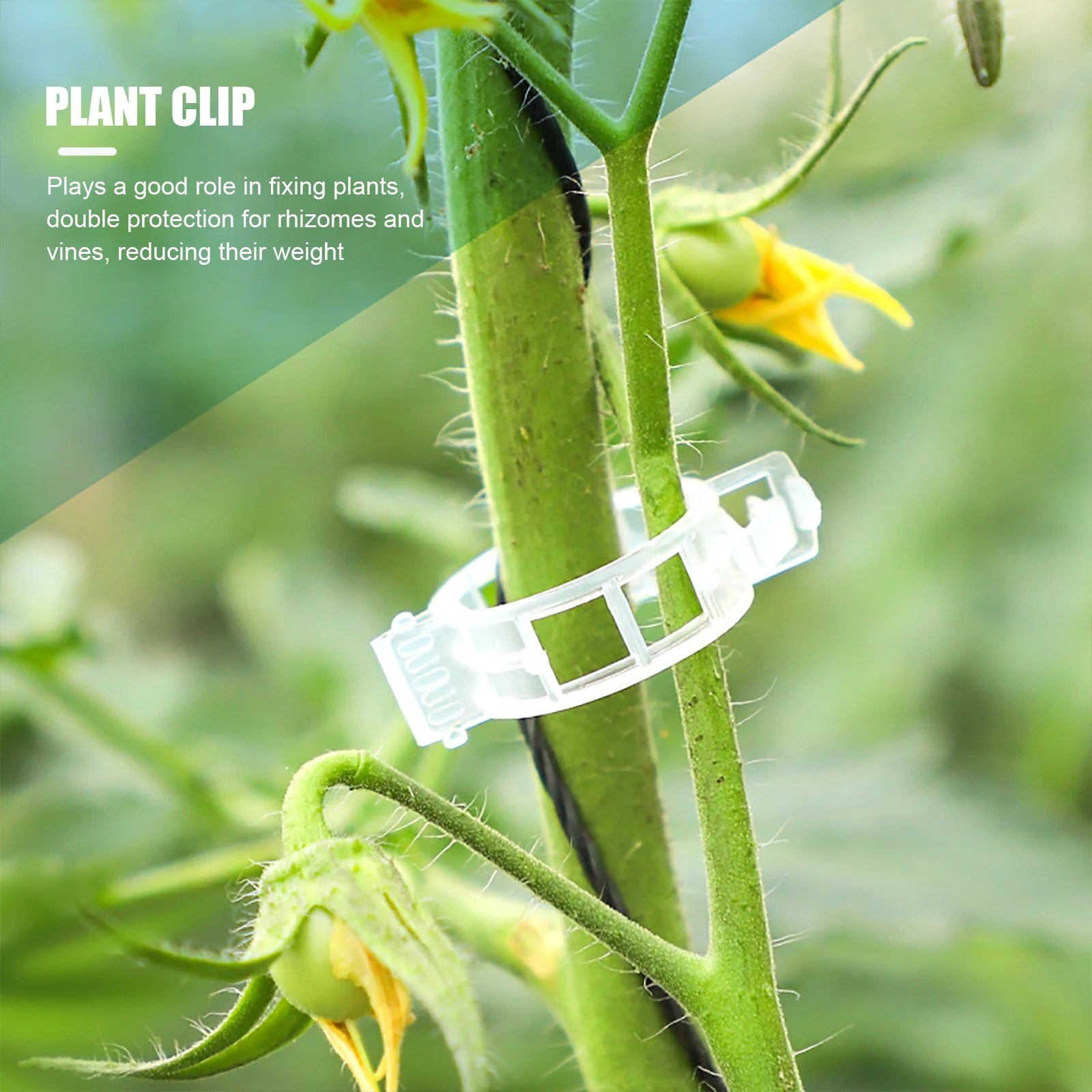 10 Set Plants Hooks & Clips Tomato J Hooks Clips Set with 10M Rope Tomatoes Growing Hooks Clips for Garden Plant Flower
10 Set Plants Hooks & Clips Tomato J Hooks Clips Set with 10M Rope Tomatoes Growing Hooks Clips for Garden Plant Flower