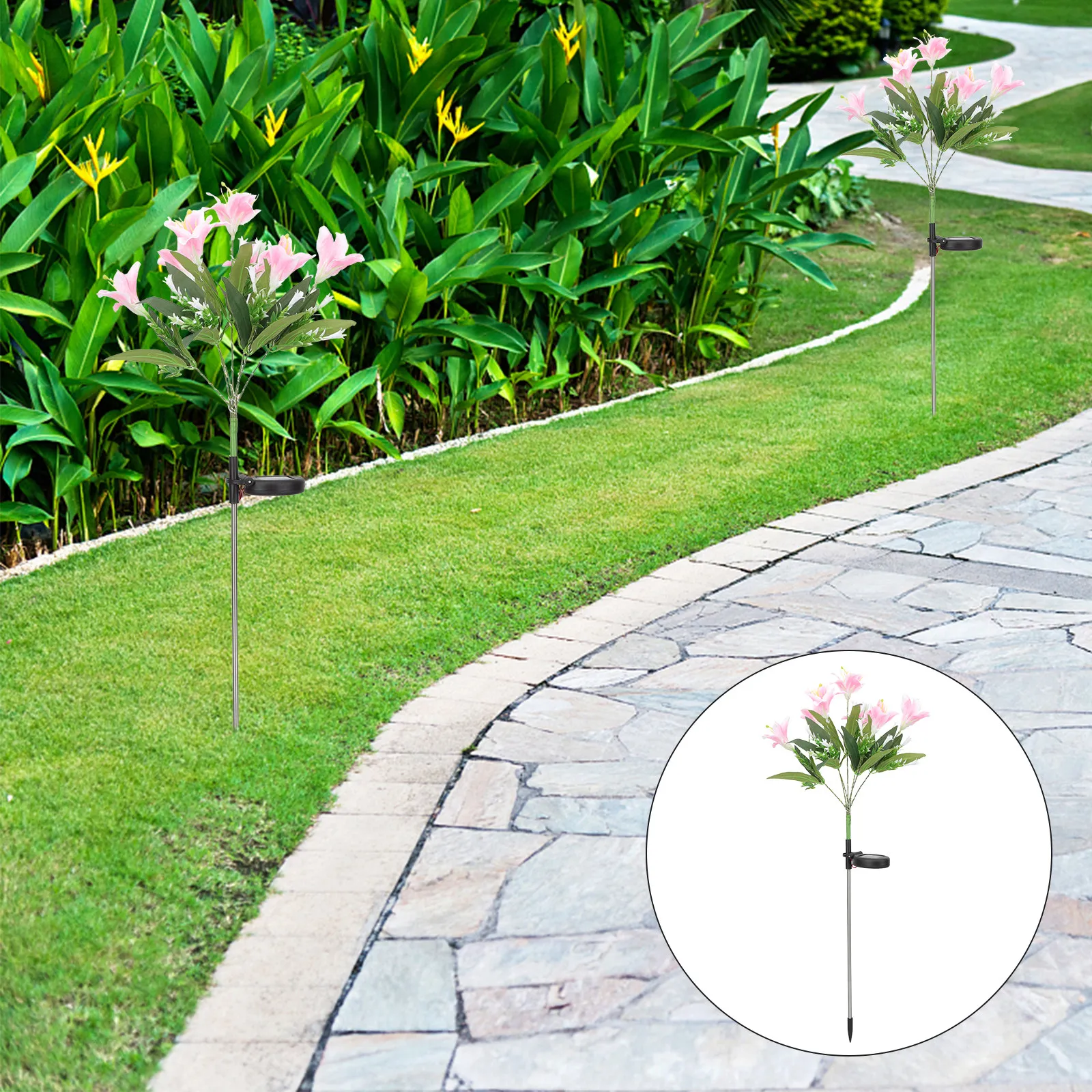 Solar Lily Flower Light Outdoor Garden Decoration Waterproof Solar Garden Stake Lights for Lawn Patio Yard Pathway
Solar Lily Flower Light Outdoor Garden Decoration Waterproof Solar Garden Stake Lights for Lawn Patio Yard Pathway