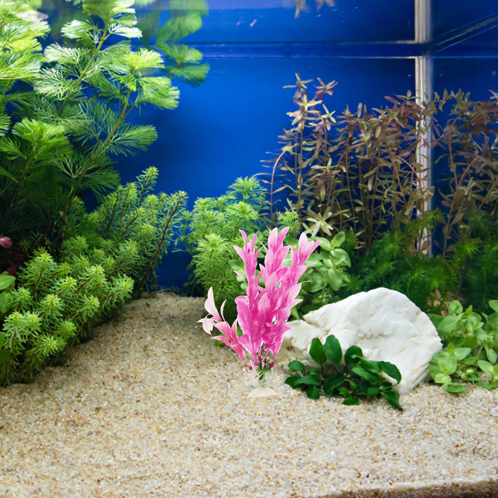 6Pcs Delicate Aquarium Plants Wearresistant Fake Plant Vivid Faux Plant Fish Tank Decoration Aquarium Decor Fish Tank Supply
6Pcs Delicate Aquarium Plants Wearresistant Fake Plant Vivid Faux Plant Fish Tank Decoration Aquarium Decor Fish Tank Supply