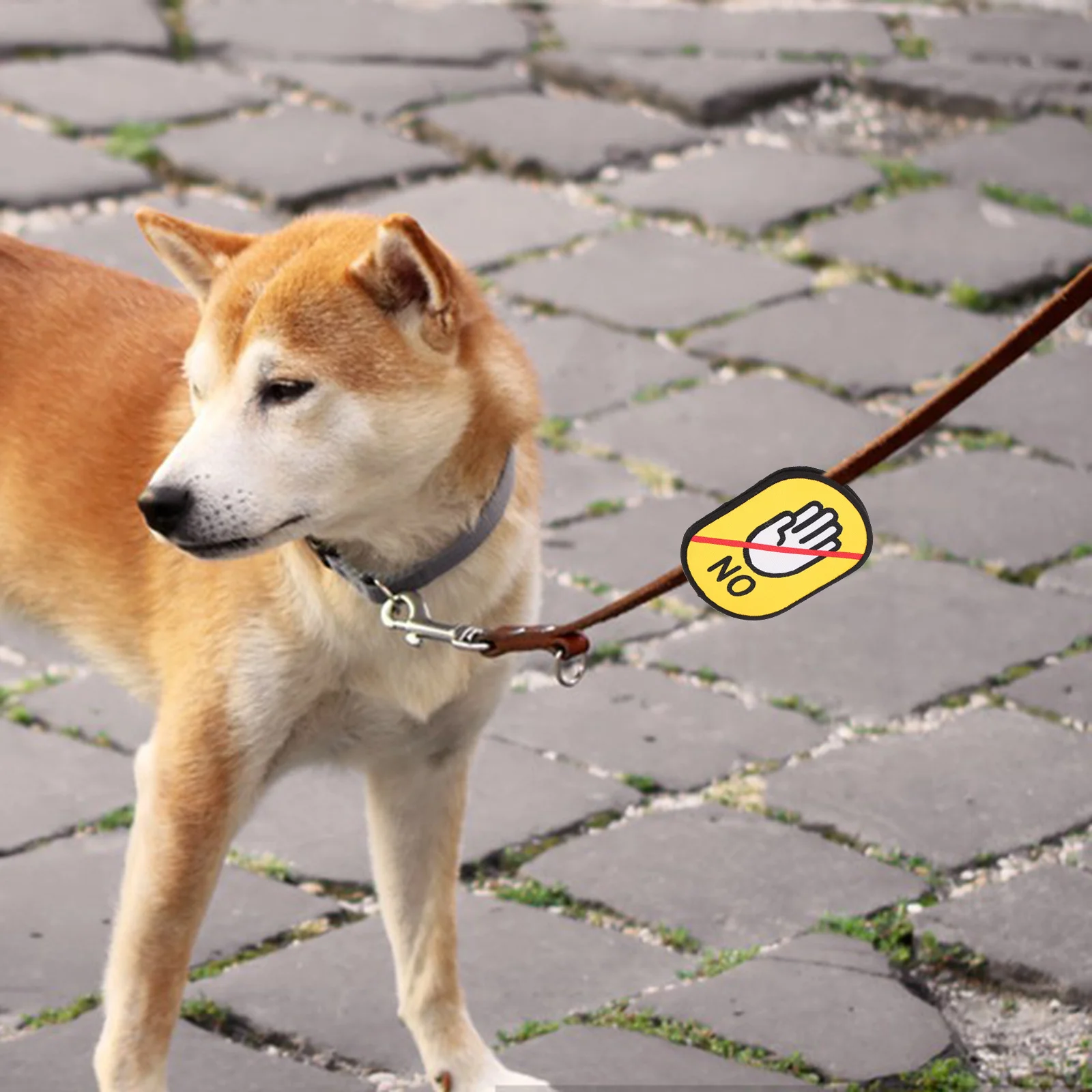 Durable Pet Leash Decal Easy Peel Stick No Residue Do Not Pet Warning Sign Safe Walking Puppy Social Stickers Puppy Leash Decals
Durable Pet Leash Decal Easy Peel Stick No Residue Do Not Pet Warning Sign Safe Walking Puppy Social Stickers Puppy Leash Decals