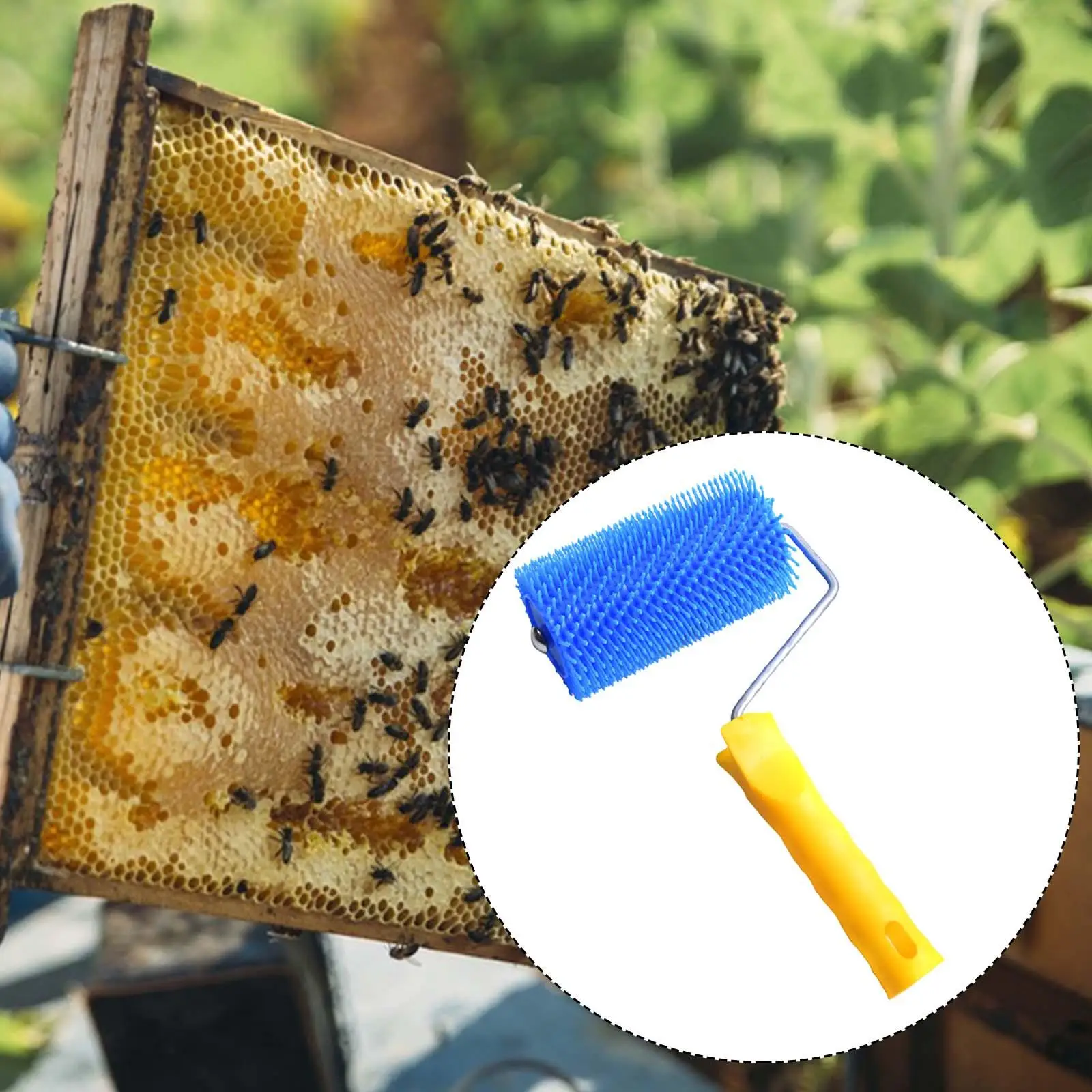 Uncapping Roller Honey Harvesting Equipment Portable Honey Extracting Roller
Uncapping Roller Honey Harvesting Equipment Portable Honey Extracting Roller