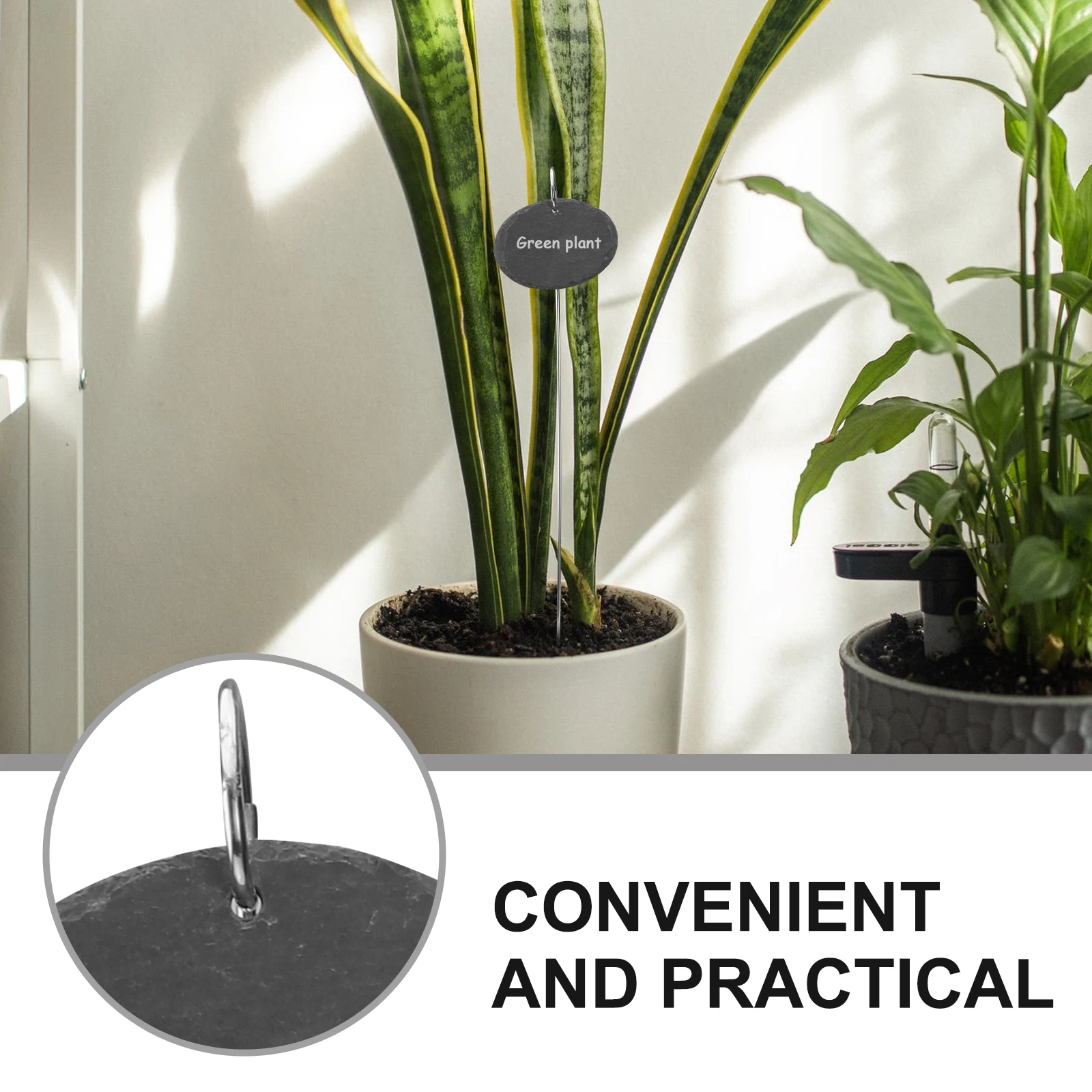 4 Pcs Fruit Tree Tags Plant Decorations Labels Ornaments Garden Stake Markers Stainless Steel Flower Bed Inserts Stakes
4 Pcs Fruit Tree Tags Plant Decorations Labels Ornaments Garden Stake Markers Stainless Steel Flower Bed Inserts Stakes