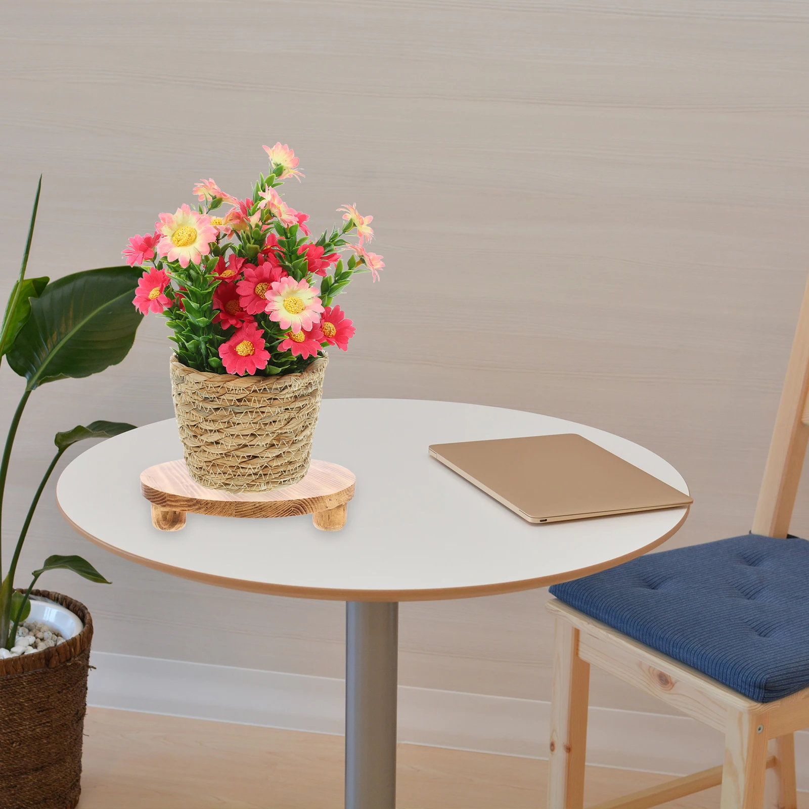 2Pcs Wooden Plant Pot Base Round Natural Wood Flower Stand Multi-Functional Display Pedestal for Vase Bonsai Home Decor
2Pcs Wooden Plant Pot Base Round Natural Wood Flower Stand Multi-Functional Display Pedestal for Vase Bonsai Home Decor