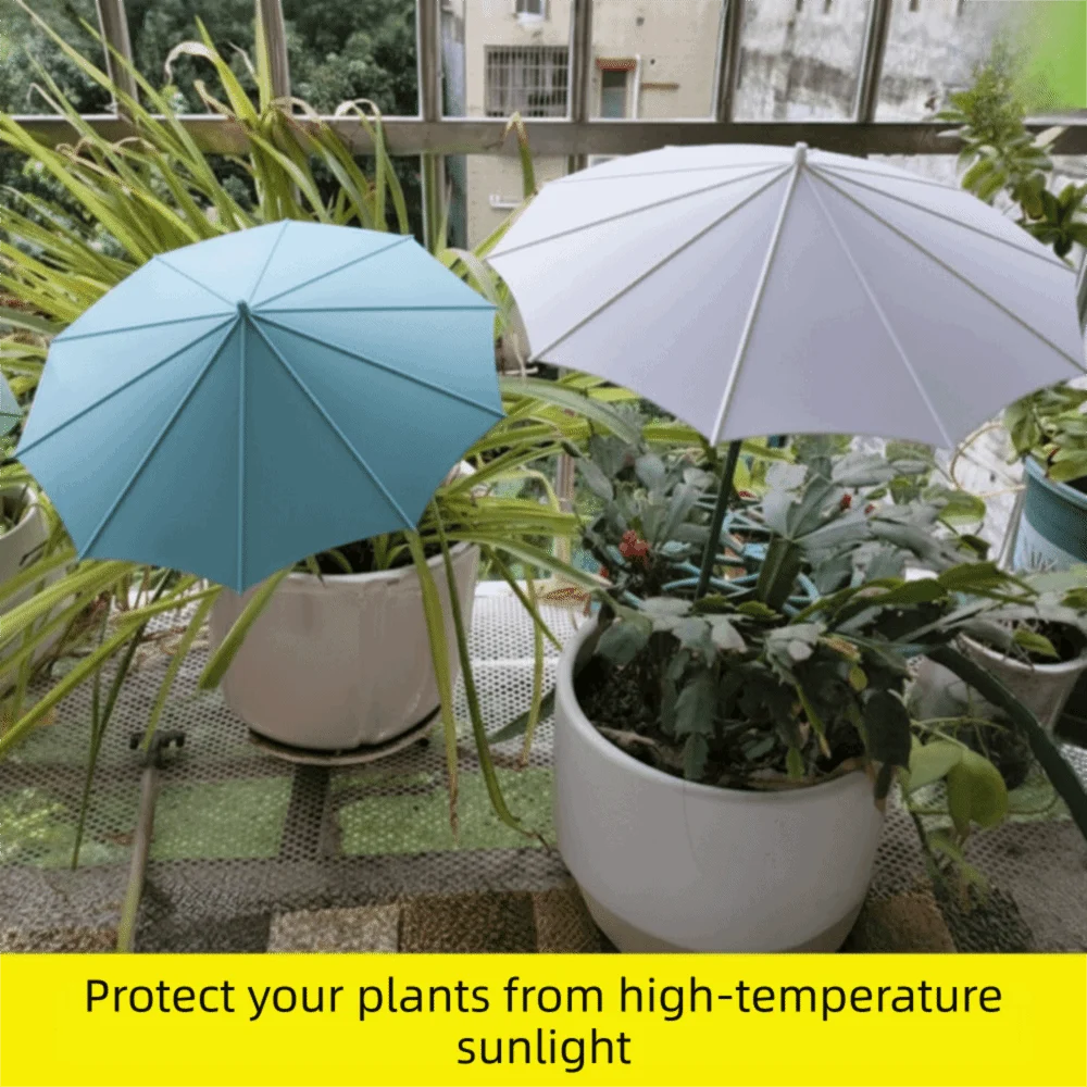 3Pcs Weather proof Sunshade Cloth Plant Shade Umbrella UV Protection Sunshade Canopy Outdoor Plant Sunshade
3Pcs Weather proof Sunshade Cloth Plant Shade Umbrella UV Protection Sunshade Canopy Outdoor Plant Sunshade