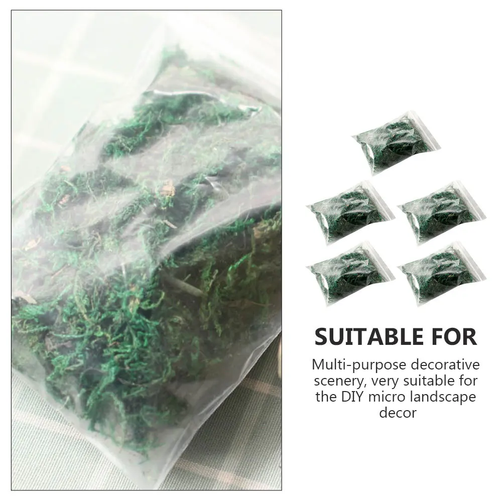 5Packs Imitation Moss Decorative Bonsai Fake Lichen for Flowerpot Landscape Micro Garden DIY Decor Artificial Plant Ornament
5Packs Imitation Moss Decorative Bonsai Fake Lichen for Flowerpot Landscape Micro Garden DIY Decor Artificial Plant Ornament