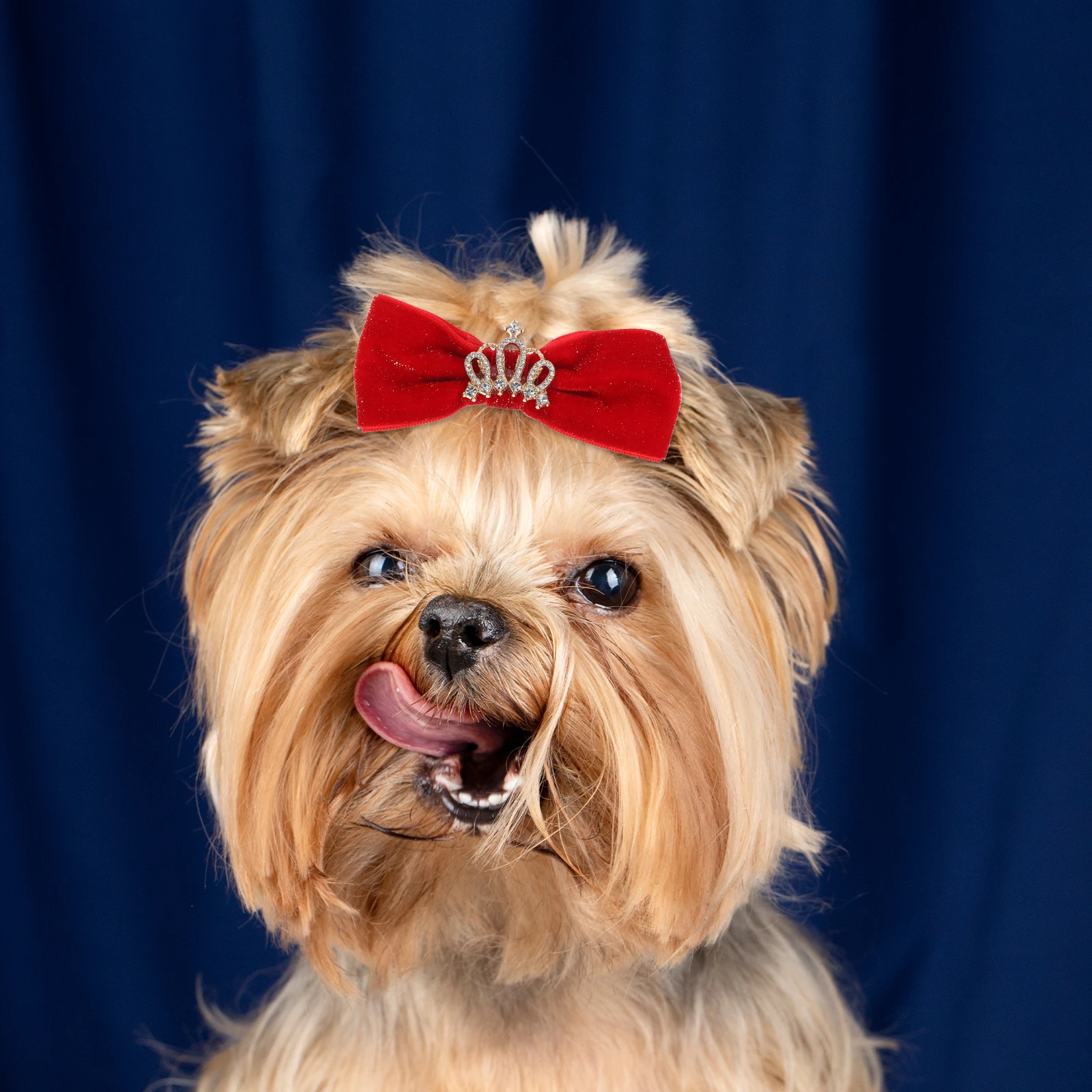 4Pcs Pet Hairclip Bowknot Stylish Accessory for Small Animals Wedding Party Lasting Colorful Decorative Clips 
4Pcs Pet Hairclip Bowknot Stylish Accessory for Small Animals Wedding Party Lasting Colorful Decorative Clips