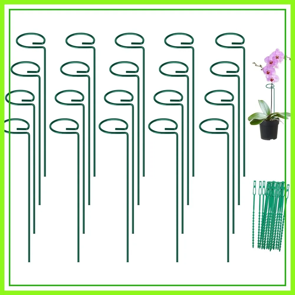 16 Inch Plant Support Stakes, 20 Pack Metal Stems for Outdoor Flowers, Plant Stakes with Twist Ties for Amaryllis Lily Rose Peony Tomatoes
16 Inch Plant Support Stakes, 20 Pack Metal Stems for Outdoor Flowers, Plant Stakes with Twist Ties for Amaryllis Lily Rose Peony Tomatoes