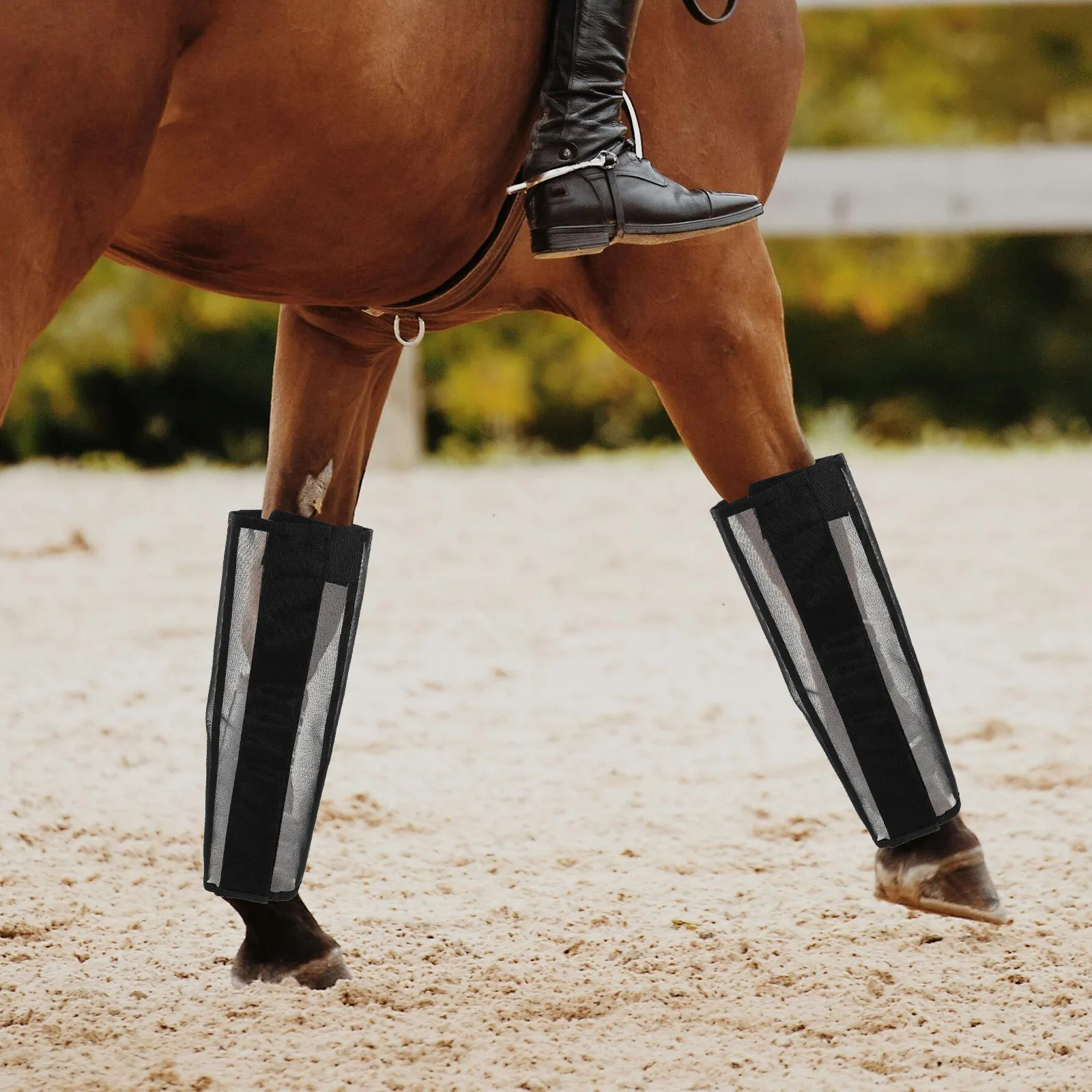 Комплект из 4 дышащих сетчатых защитных накладок от мух для лошадей, регулируемые, нескользящие, предотвращают раздражение и беспокойство при активных занятиях.
Комплект из 4 дышащих сетчатых защитных накладок от мух для лошадей, регулируемые, нескользящие, предотвращают раздражение и беспокойство при активных занятиях.