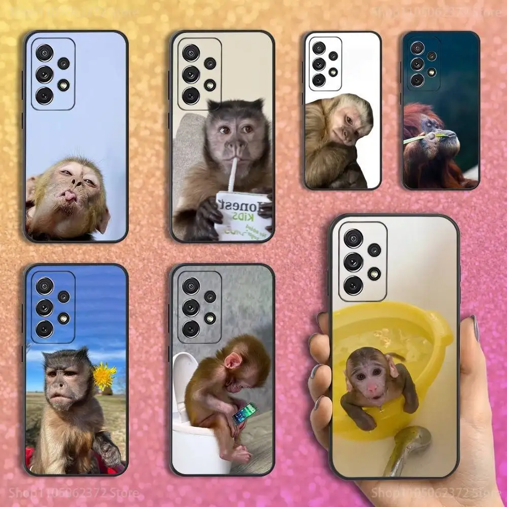 Funny Monkey Sipping Phone Case For Samsung S25,S24,S23,S22,S21,S20,S10,Ultra,Plus,Lite,FE,Soft Silicone Black Cover
Funny Monkey Sipping Phone Case For Samsung S25,S24,S23,S22,S21,S20,S10,Ultra,Plus,Lite,FE,Soft Silicone Black Cover