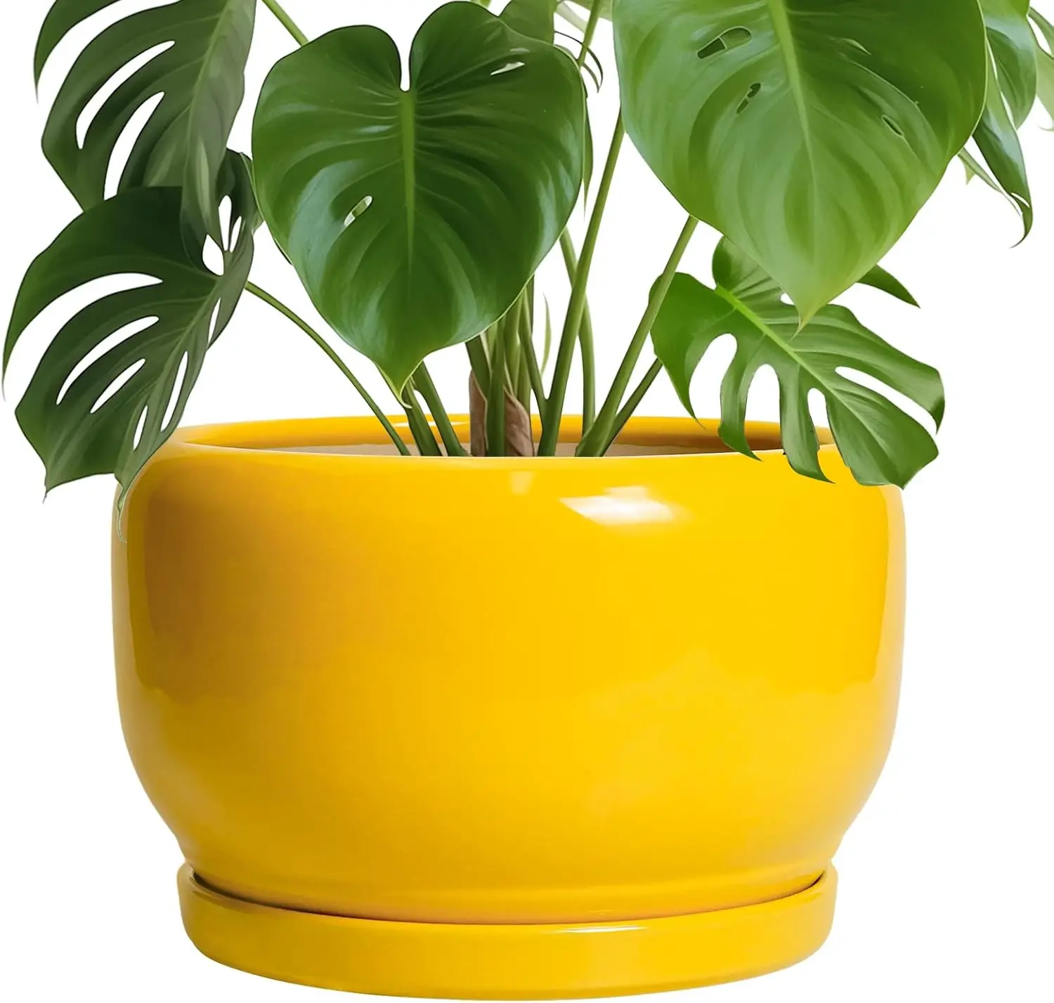 10 Inch Ceramic Plant Pot with Drainage Hole & Saucer, Modern Yellow Planter for Indoor Outdoor Plants, Home Decor Gift
10 Inch Ceramic Plant Pot with Drainage Hole & Saucer, Modern Yellow Planter for Indoor Outdoor Plants, Home Decor Gift