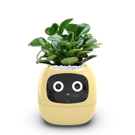 Y524-1 2024 Indoor Creative Interaction Tamagotchi Smart Cute Pet Small Flower Pot Balcony Desktop Home Decoration
Y524-1 2024 Indoor Creative Interaction Tamagotchi Smart Cute Pet Small Flower Pot Balcony Desktop Home Decoration