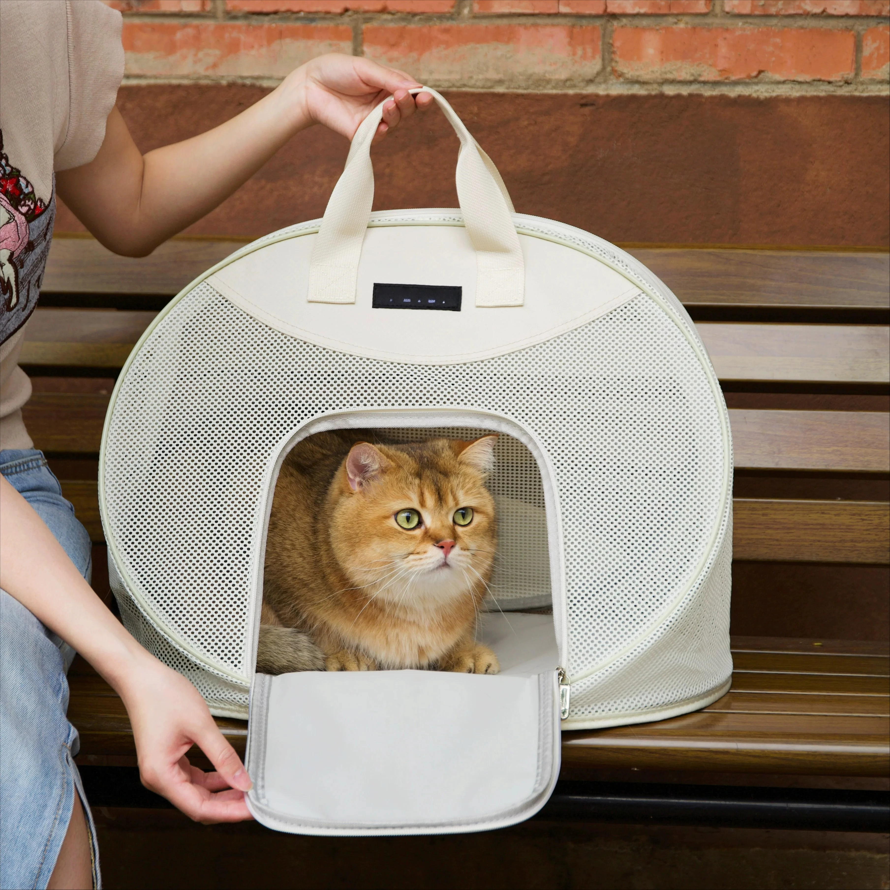 Breathable cat bag portable going out portable bag large capacity summer dog pet carrying cat travel neuter cat bag
Breathable cat bag portable going out portable bag large capacity summer dog pet carrying cat travel neuter cat bag