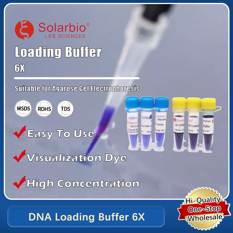 Загрузочный буфер DNA 6X для электрофореза геля с нуклевой кислотой и лабораторных исследований. Оригинальный продукт.
Загрузочный буфер DNA 6X для электрофореза геля с нуклевой кислотой и лабораторных исследований. Оригинальный продукт.