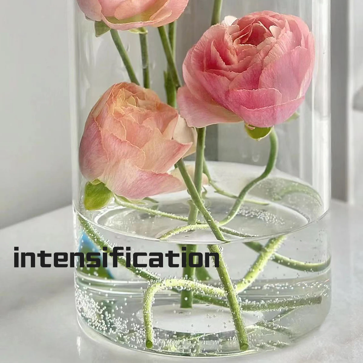 Acrylic Transparent Vase High End Indoor Tabletop Hydroponic Flower Arrangement Awakening Bucket Living Room Homestay Decoration
Acrylic Transparent Vase High End Indoor Tabletop Hydroponic Flower Arrangement Awakening Bucket Living Room Homestay Decoration