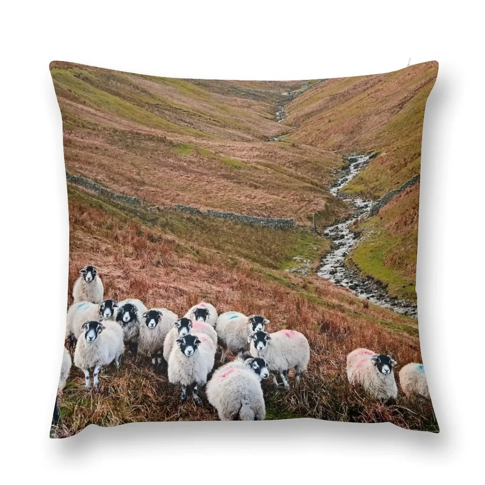 Swaledale Sheep in Weardale Throw Pillow pillows decor home Sofa Cushion Cover Cushion Child pillow
Swaledale Sheep in Weardale Throw Pillow pillows decor home Sofa Cushion Cover Cushion Child pillow