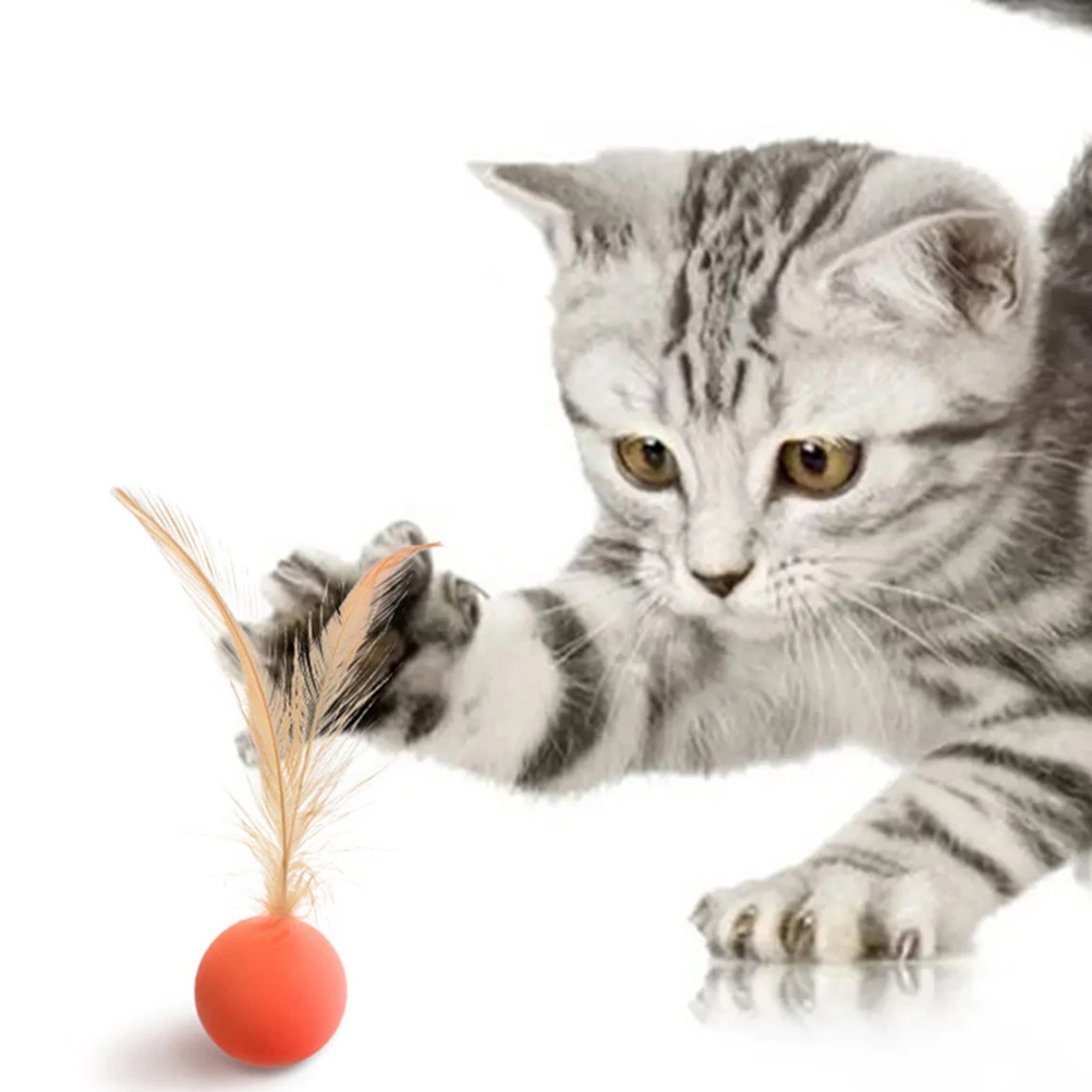 9pcs Pet Elastic Ball Cat Teaser Interactive For Indoor Kitten Dogs Durable Bouncing Plaything Chasing Fun Mental Stimulation
9pcs Pet Elastic Ball Cat Teaser Interactive For Indoor Kitten Dogs Durable Bouncing Plaything Chasing Fun Mental Stimulation
