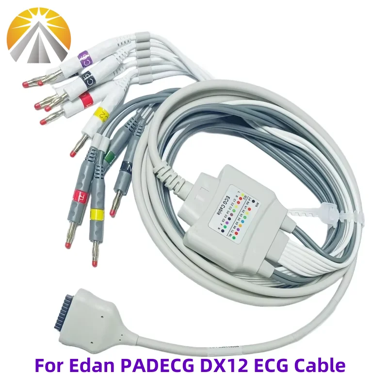Holter Cable 12 Leadwires 20 Pin IEC Banana 4.0 Wireless PC EKG Device For Edan DX12 PADECG ECG Cables
Holter Cable 12 Leadwires 20 Pin IEC Banana 4.0 Wireless PC EKG Device For Edan DX12 PADECG ECG Cables