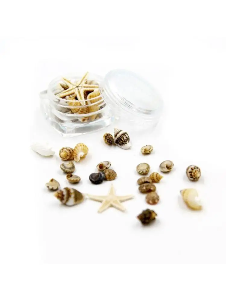 Tiny Miniature Beach Critter Seashells Variety Beach Decor Crafts for Arts
Tiny Miniature Beach Critter Seashells Variety Beach Decor Crafts for Arts