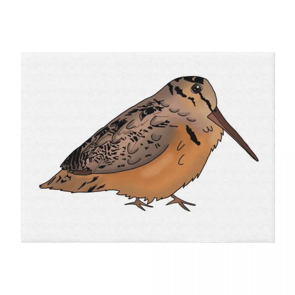 American Woodcock Throw Blanket Luxury Thicken Softest Baby Summer Blankets
American Woodcock Throw Blanket Luxury Thicken Softest Baby Summer Blankets
