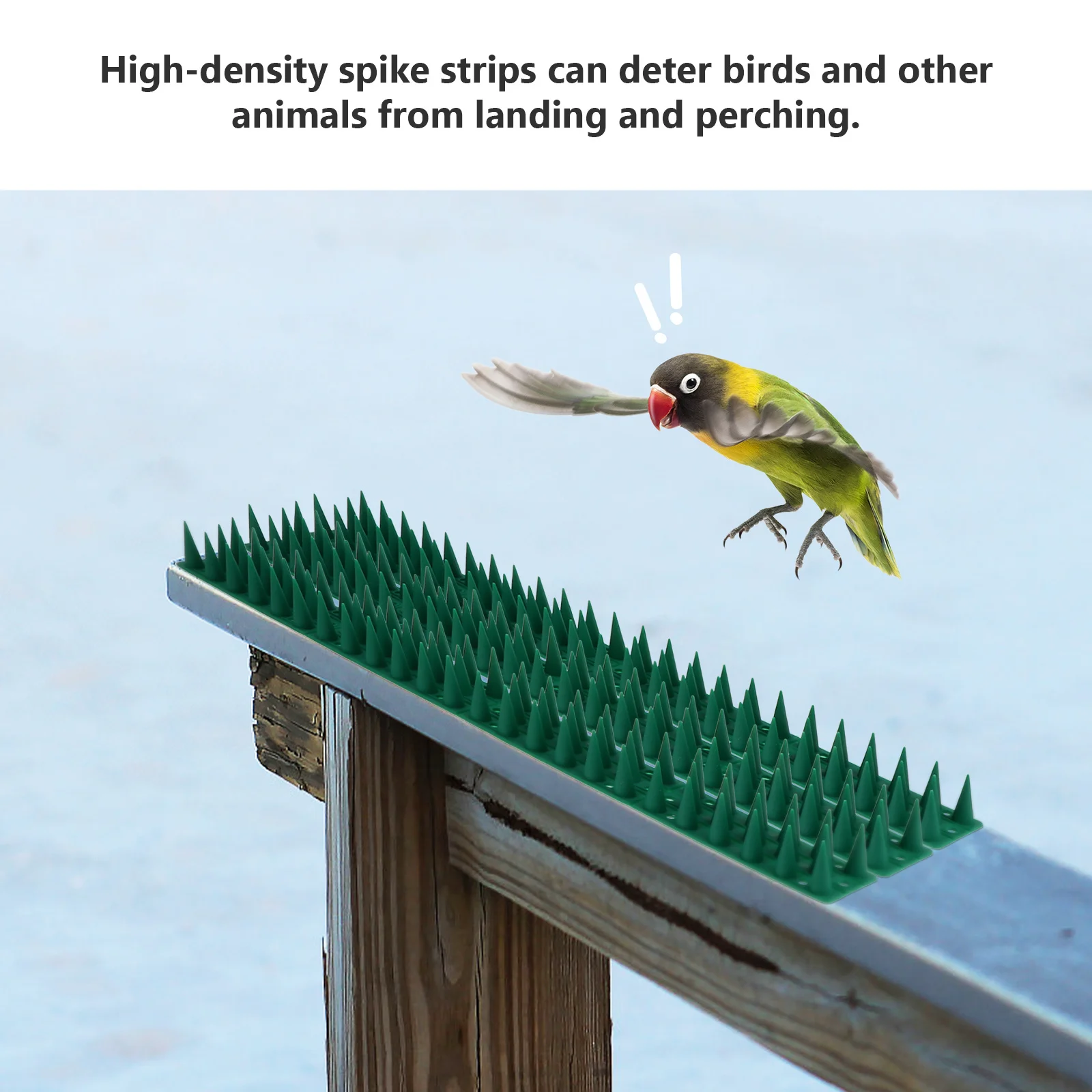 10 Sets Plastic Bird Spike Strips Pigeon Prevention Spike Kit Anti Climbing Fence Outdoor Bird Deterrent Humane Protection
10 Sets Plastic Bird Spike Strips Pigeon Prevention Spike Kit Anti Climbing Fence Outdoor Bird Deterrent Humane Protection