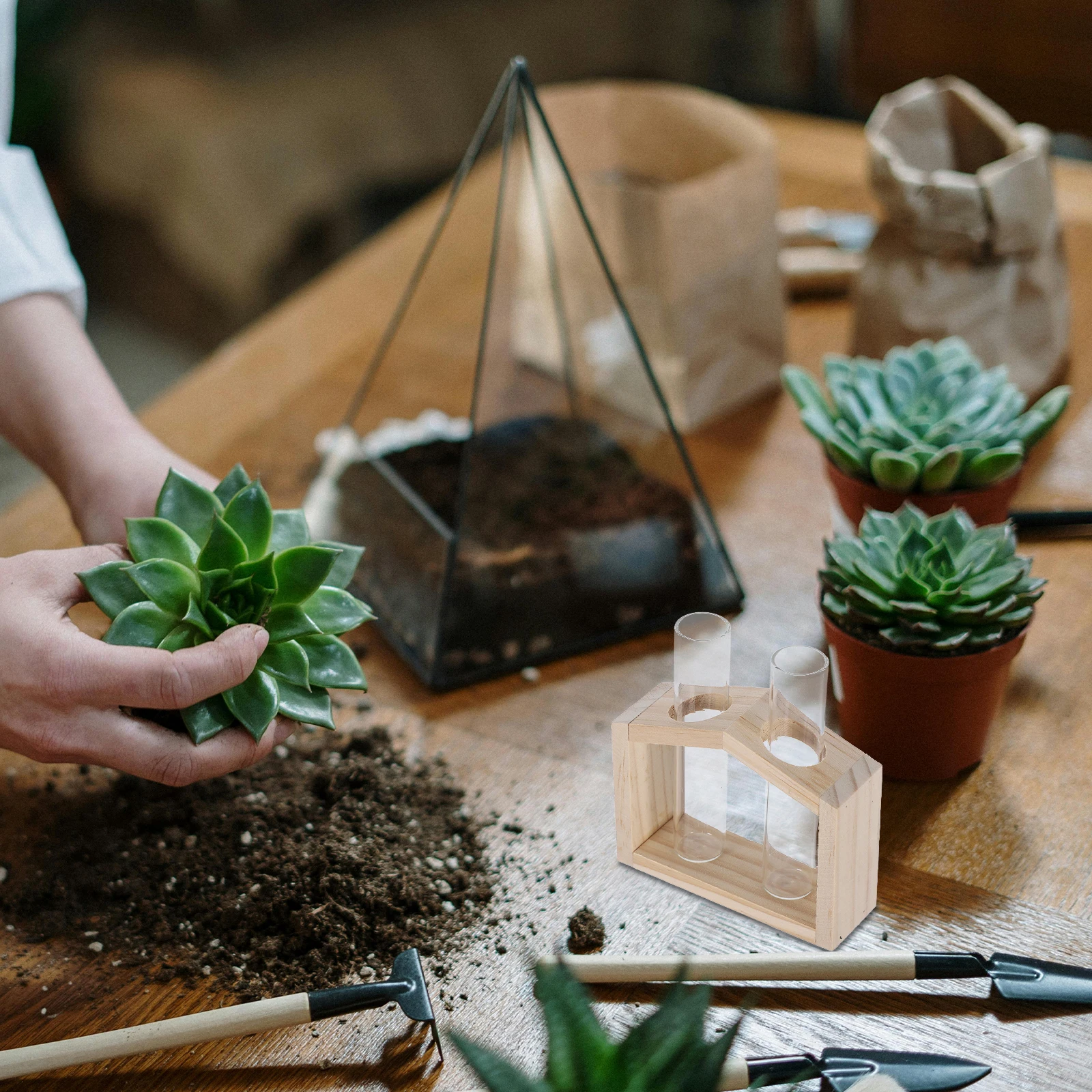 Clear Glass Test Tube Vase Hydroponic Propagation Flower Holder Small Decorative Desktop Plant Vase For Home Wedding Centerpiece
Clear Glass Test Tube Vase Hydroponic Propagation Flower Holder Small Decorative Desktop Plant Vase For Home Wedding Centerpiece