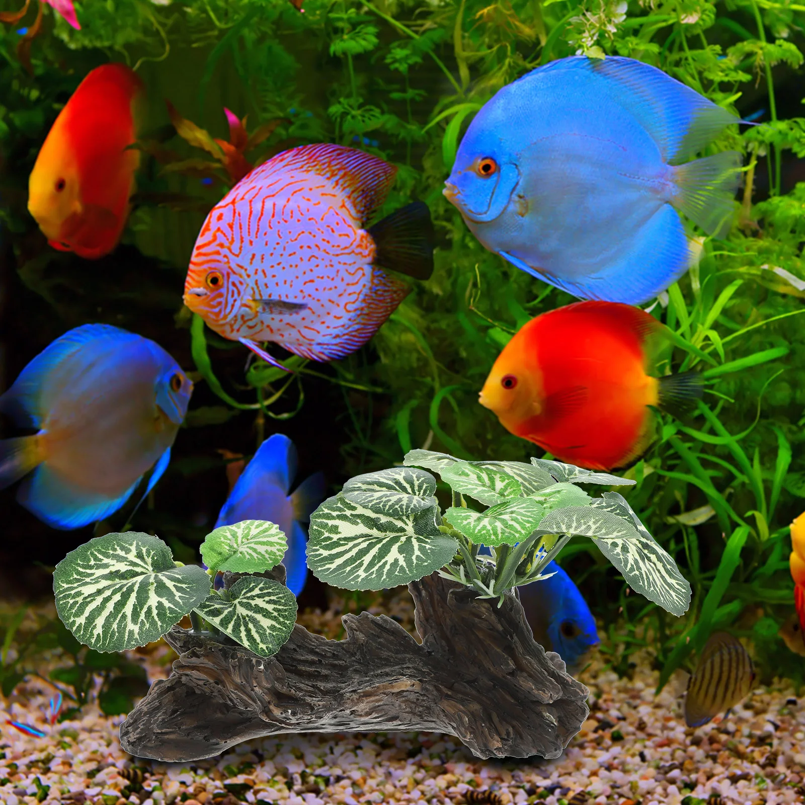 Rainforest Plant Decoration Quick-drying Reptile Plants Ornament Decorations Fine Workmanship Resin Greenery Habitat Fake
Rainforest Plant Decoration Quick-drying Reptile Plants Ornament Decorations Fine Workmanship Resin Greenery Habitat Fake