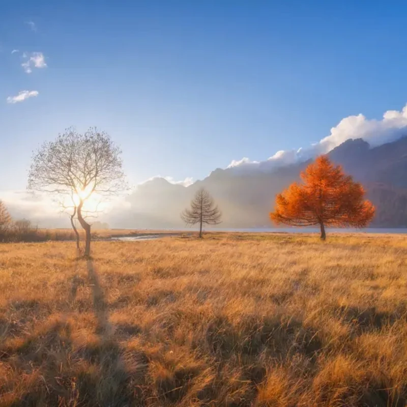 iFlight Defender 25 O4 Pro Air Unit Frame Kit built-in 2.5inch propeller guards with 2.5mm arm for FPV parts
iFlight Defender 25 O4 Pro Air Unit Frame Kit built-in 2.5inch propeller guards with 2.5mm arm for FPV parts