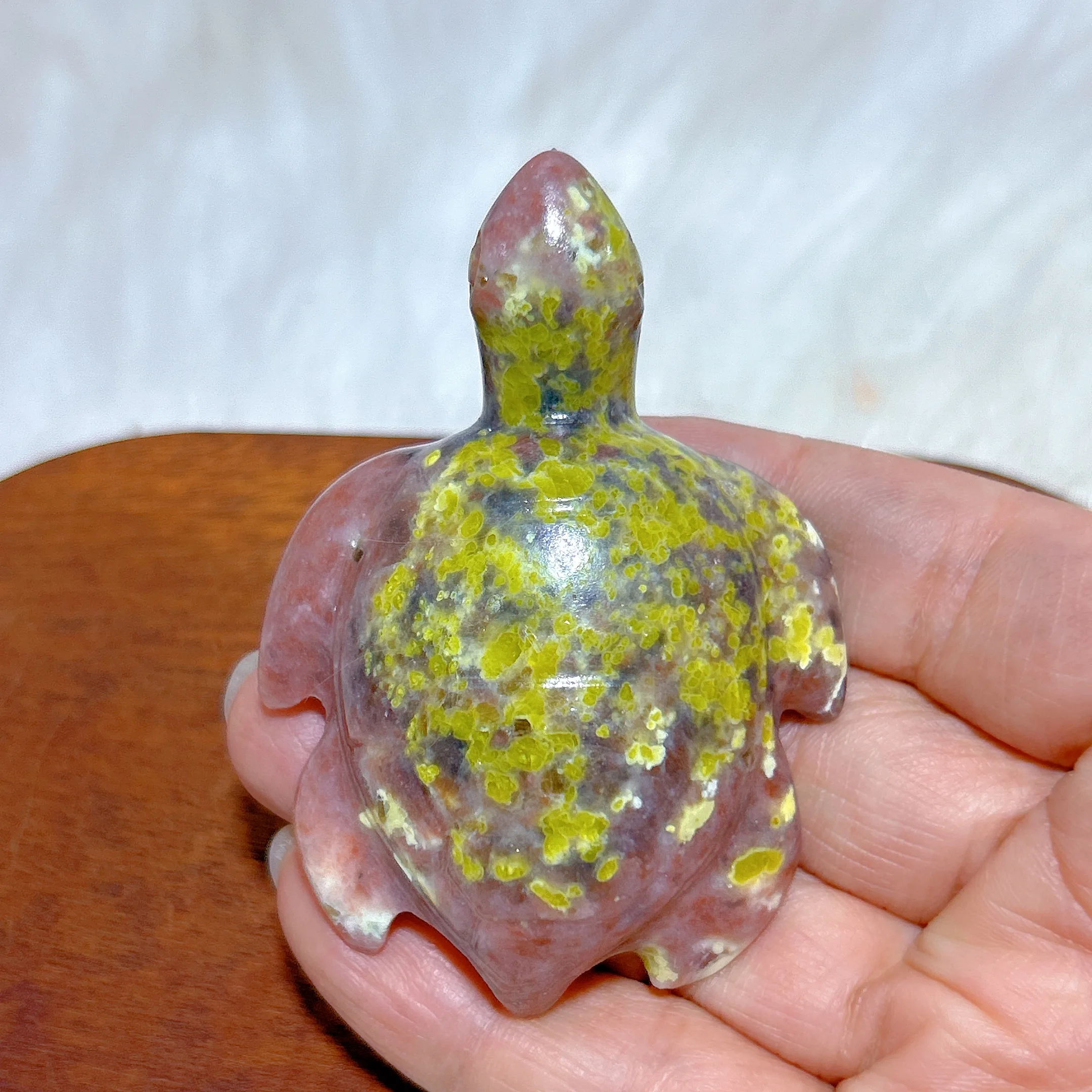 Natural Crystal Pink Green Tourmaline Sea Turtle Carved Healing High Quality Gemstones Energy Home Decorations Room Decor Gift
Natural Crystal Pink Green Tourmaline Sea Turtle Carved Healing High Quality Gemstones Energy Home Decorations Room Decor Gift