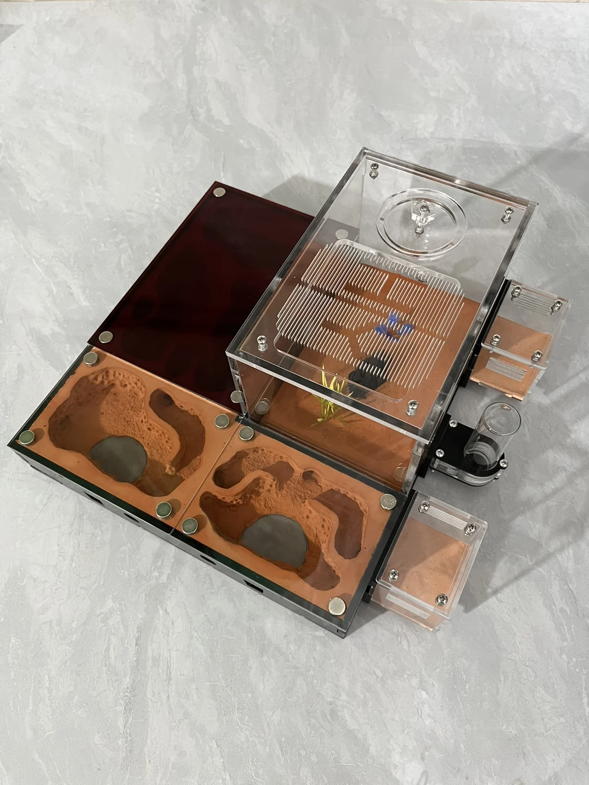 Замок муравьиного гнезда, неограниченное количество расширения, сращивание домашних животных, мастерская муравьев, экологическое гнездо муравья, студенческая научная фотография
Замок муравьиного гнезда, неограниченное количество расширения, сращивание домашних животных, мастерская муравьев, экологическое гнездо муравья, студенческая научная фотография