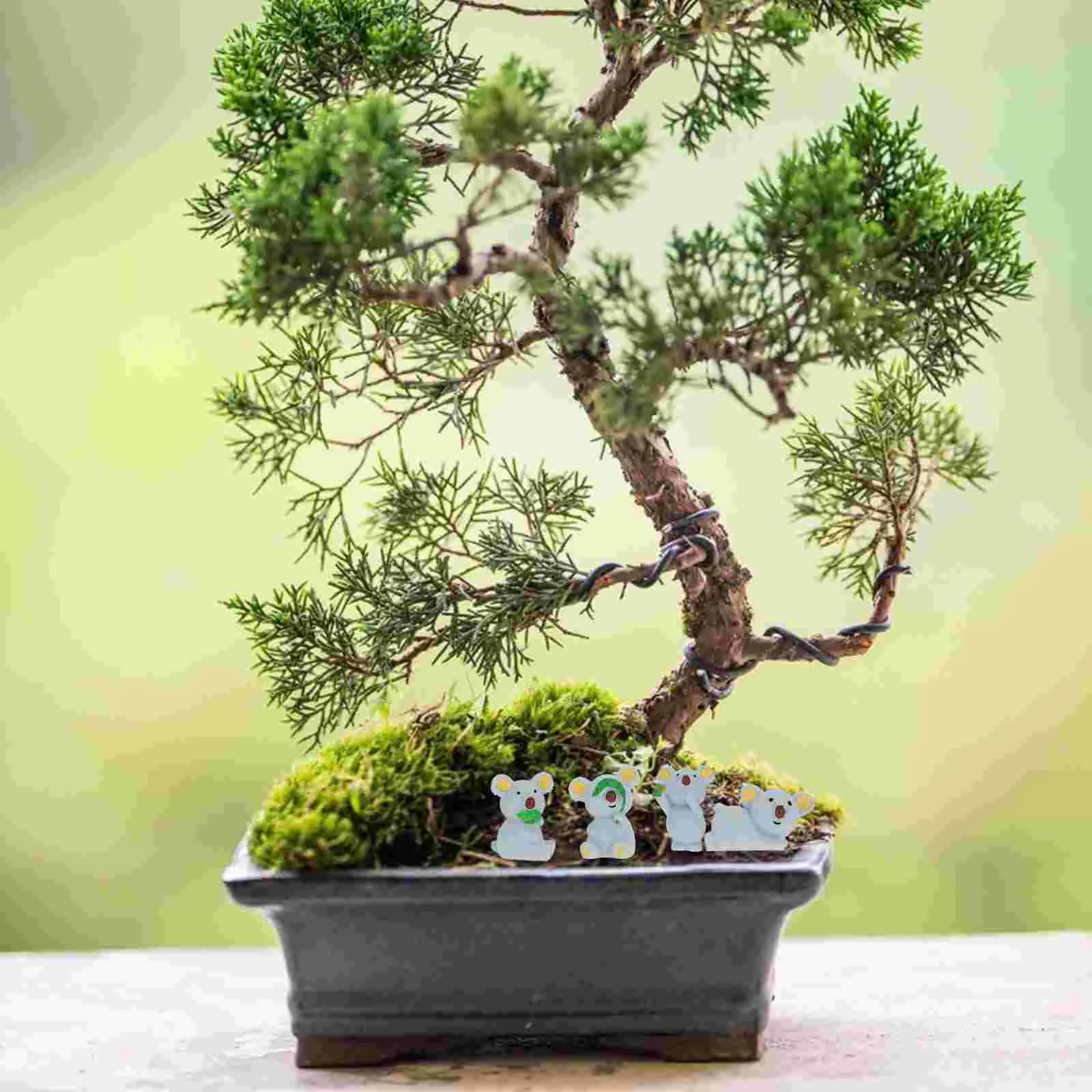 6 Pcs Micro Landscape Miniature Statue Decorations Animal Ornament Succulent Planters
6 Pcs Micro Landscape Miniature Statue Decorations Animal Ornament Succulent Planters
